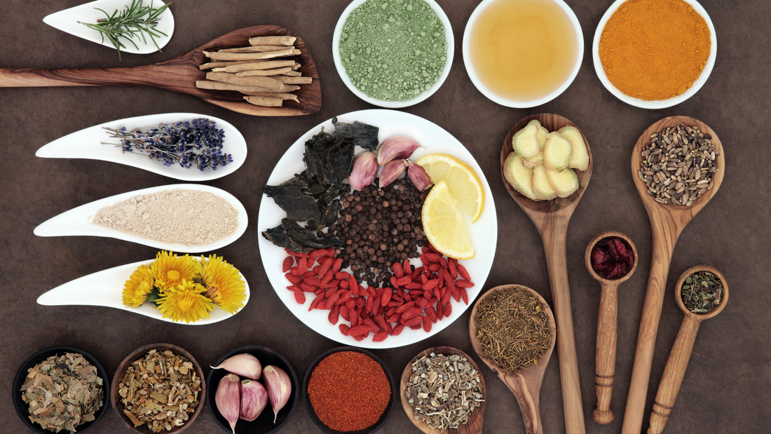 Spotlight: Immune-Boosting Herbs for a Healthier You